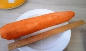 Морковь Сластёна Сибирико: описание корнеплода