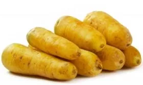 Морковь сорта Узбекская жёлтая