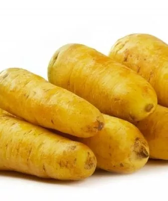 Морковь сорта Узбекская жёлтая