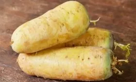 Морковь Узбекская жёлтая: описание плодов