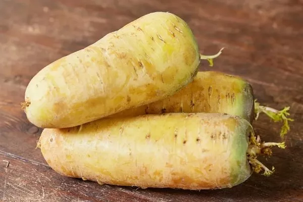 Морковь Узбекская жёлтая: описание плодов