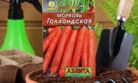 морковь Голландская