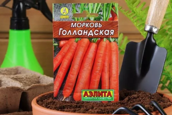 морковь Голландская