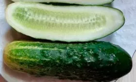 Назначение и вкусовые качества плодов