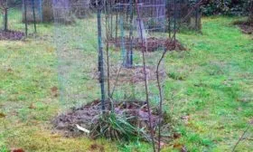 Непосредственная высадка