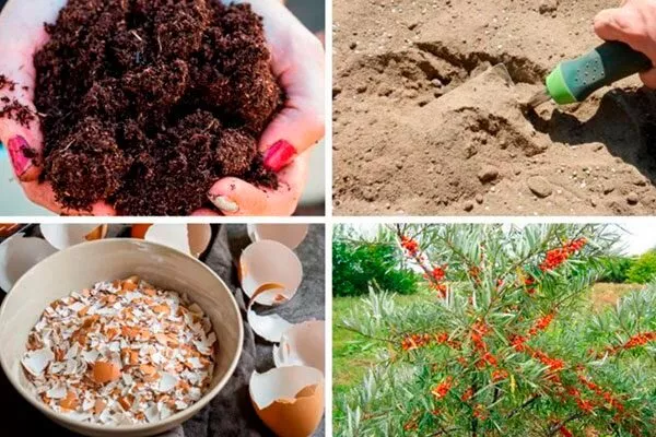 Внесении удобрений