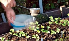 обработка от вредителей