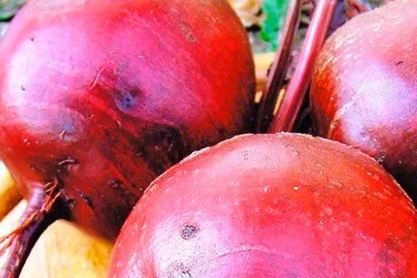 Особенности и отличия от других сортов