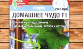 Домашнее чудо