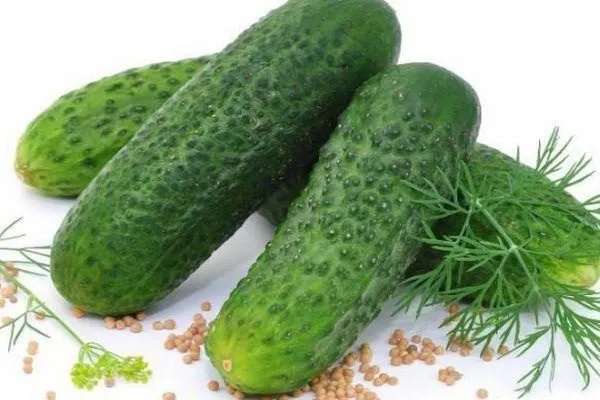 огурец Адам