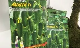 огурец алексей