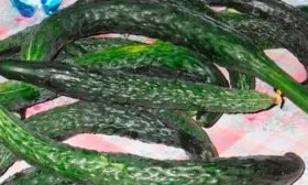 Уборка и хранение урожая