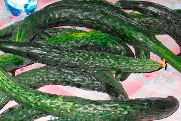 Уборка и хранение урожая