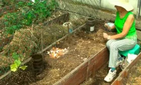 Открытый грунт