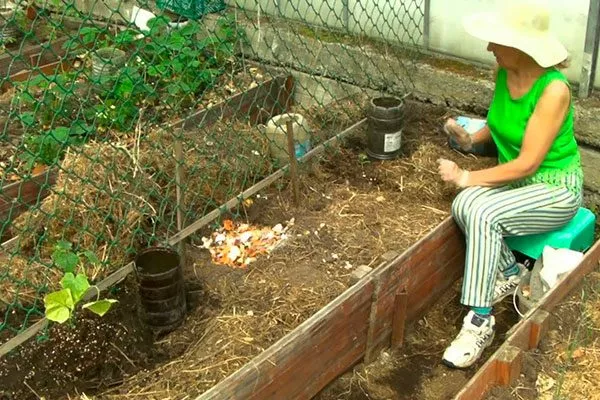 Открытый грунт