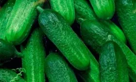 Плодоношение