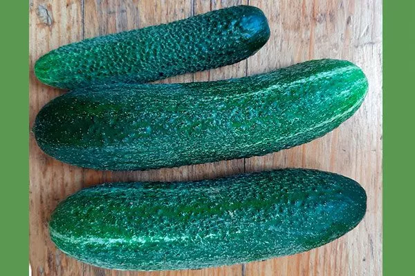 Характеристики плодов