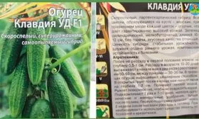 История огурца Клавдия