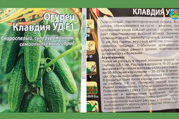 История огурца Клавдия