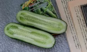 Калорийность, польза и вред