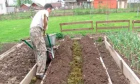 Тёплая грядка