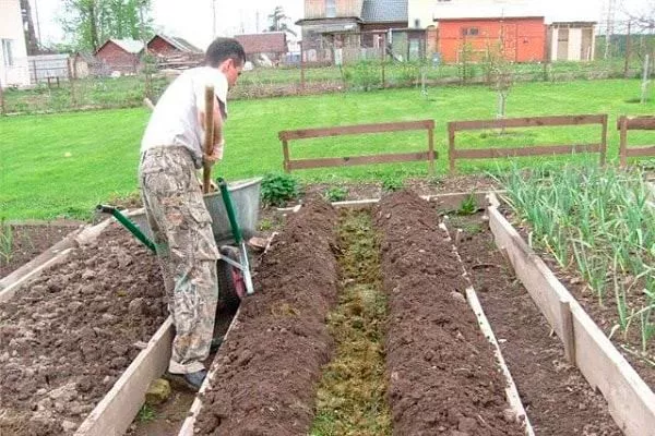 Тёплая грядка