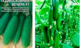 ogurets-podmoskovnye-vechera-f1-6