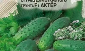 огурец сорта Актёр