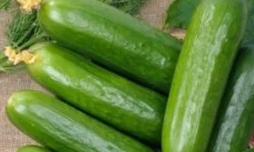 Огурец сорта Всё гладко - описание плода