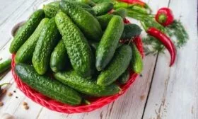 огурец Ухажёр