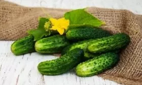 огурец Весёлые гномики