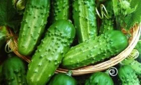 плоды Обильного