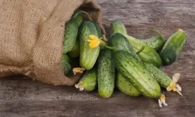 огурцы Азбука