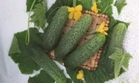 огурцы Бастион