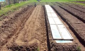 огурцы сорта Генеральский подготовка грядок