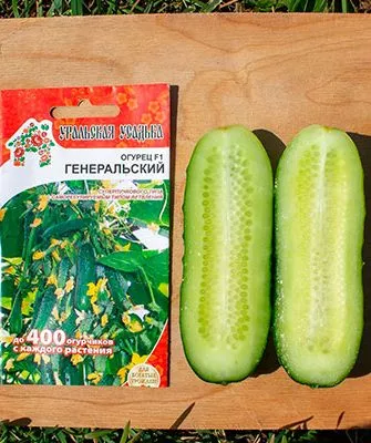огурцы сорта Генеральский вкус