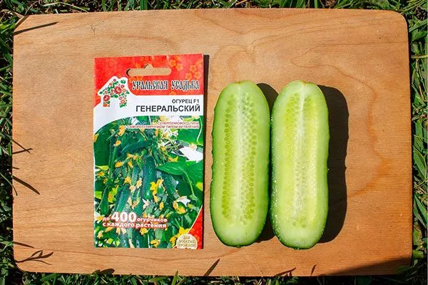 огурцы сорта Генеральский вкус