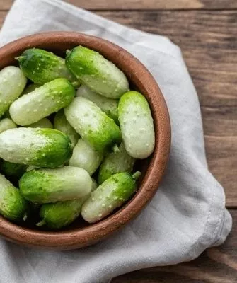 огурцы сорта Квирк