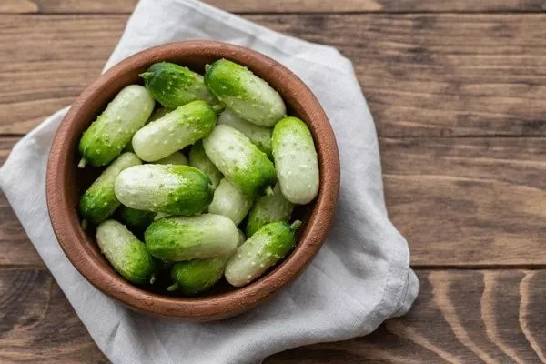 огурцы сорта Квирк