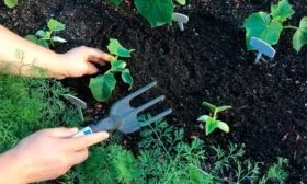 Окучивание