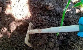 Окучивание