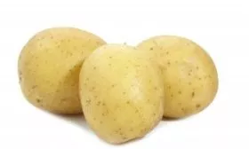 описание картофеля Каратоп