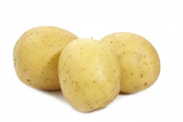 описание картофеля Каратоп