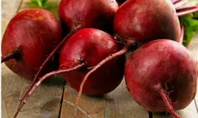 Описание растения