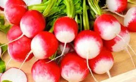 Описание растения, вкус