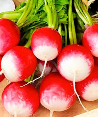 Описание растения, вкус