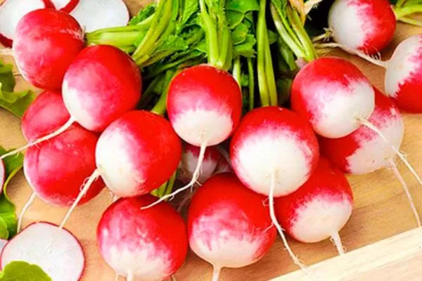 Описание растения, вкус