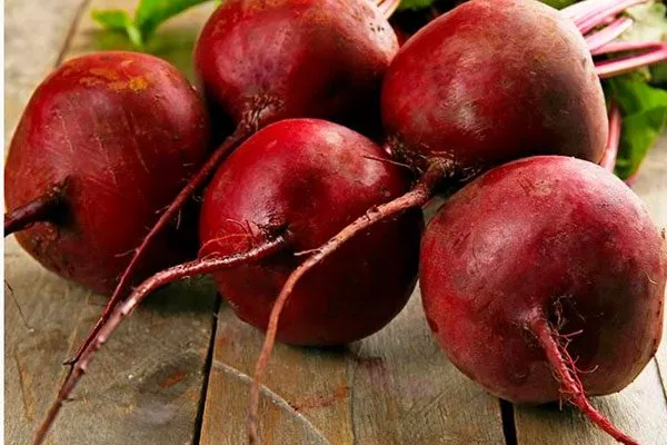 Описание растения