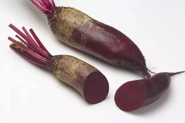 описание свеклы Родена