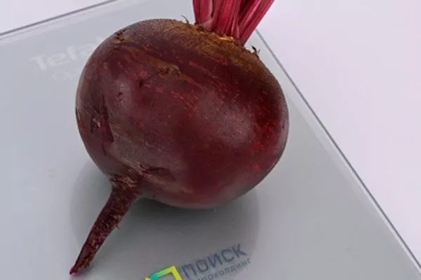 Описание внешнего вида, вкуса